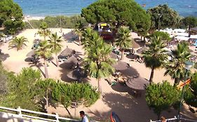 Roan Cala Gogo 4*